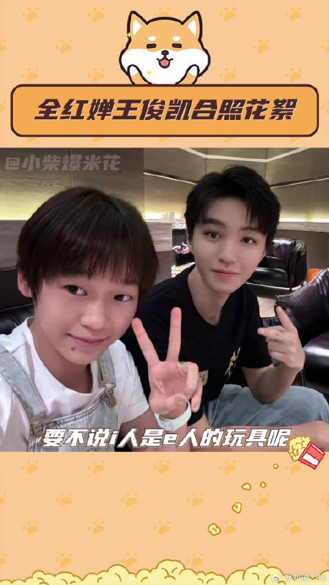 全红婵 全红婵和王俊凯葛优合照