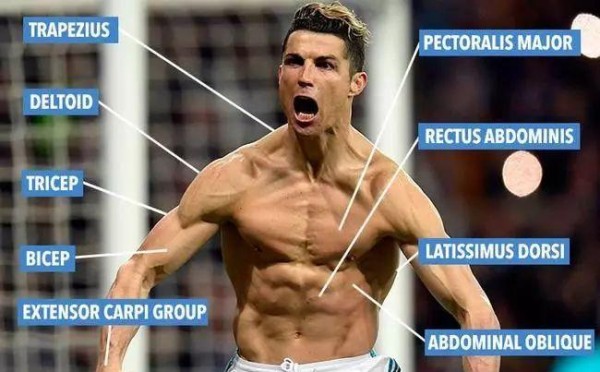 C罗保持巅峰状态的秘诀：自律生活与科学锻炼