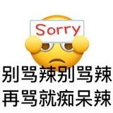 可以抒情诗