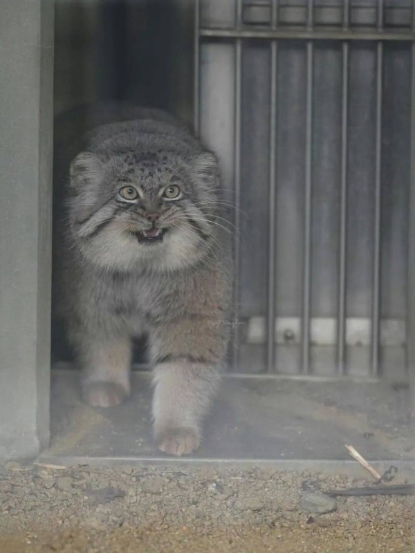 在广州逛街,被当成了捞女。过了这村就没这店的那种。