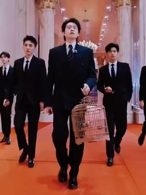 内娱最吵喜剧人齐聚综艺笑点密集