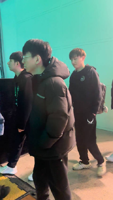 也是看到哥哥了