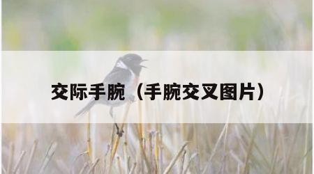交际手腕（手腕交叉图片）