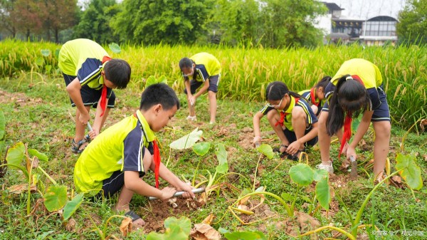 《种地吧》口碑与流量双丰收背后的综艺创新之道