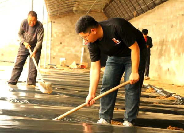 王亮：科技助力农业创新的先锋之路