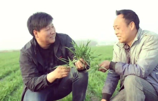 黄磊的农业传奇：从返乡创业到全国十佳农民