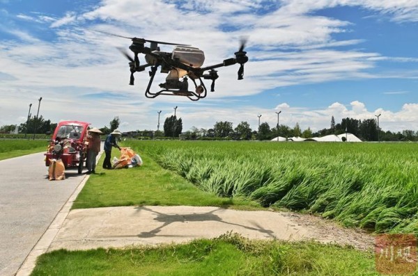 科技引领农业革新：李业星的乡村振兴之路