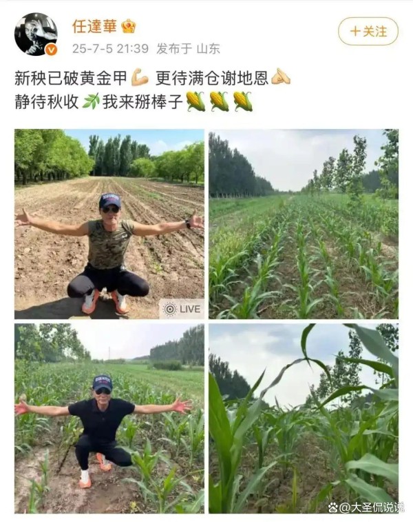 任达华再山东老家收完麦子又来种玉米，任达华掰棒子 话题量3亿