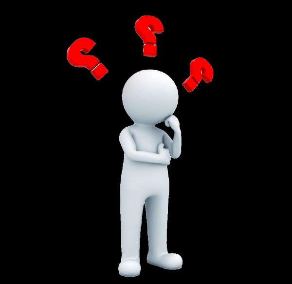 张志伟的农业梦:从向日葵农场到央视关注的创新之路