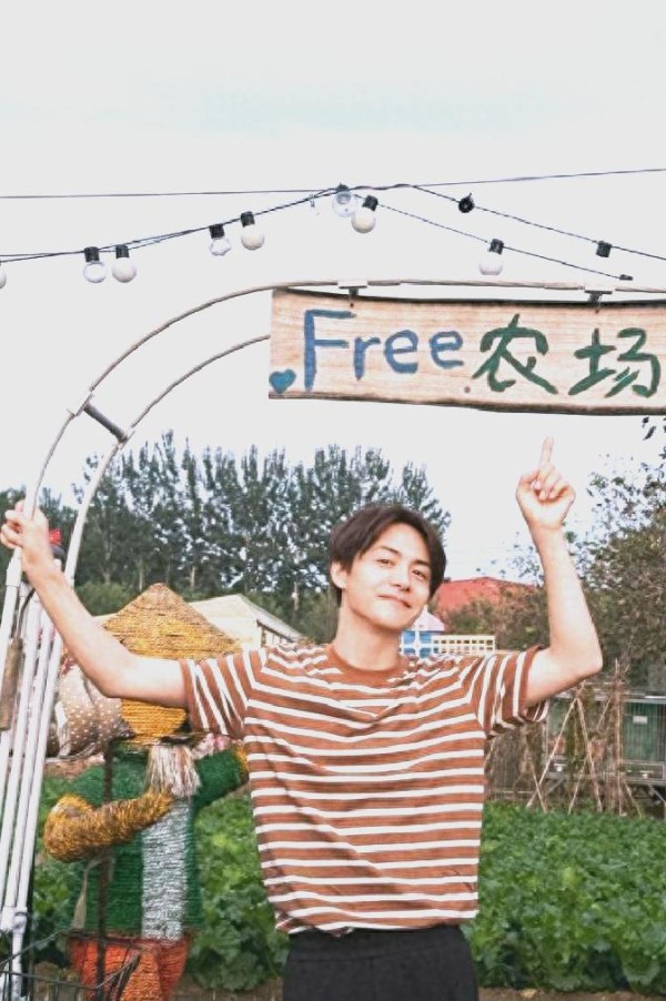 明星种地实验:从冰菜视频到生态闭环