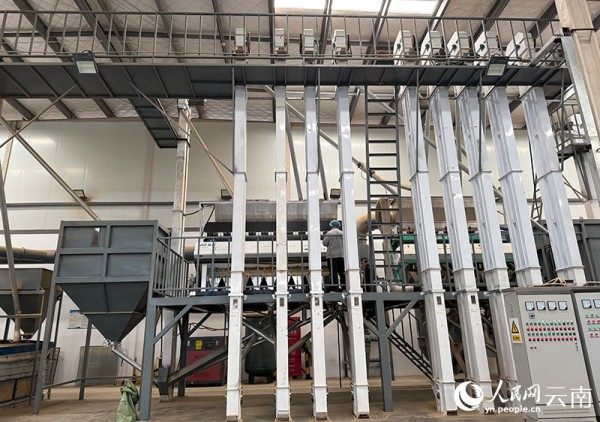 位于云南昆明经开区产业园区内的时澄咖啡加工工厂。-人民网记者-蔡树菁摄