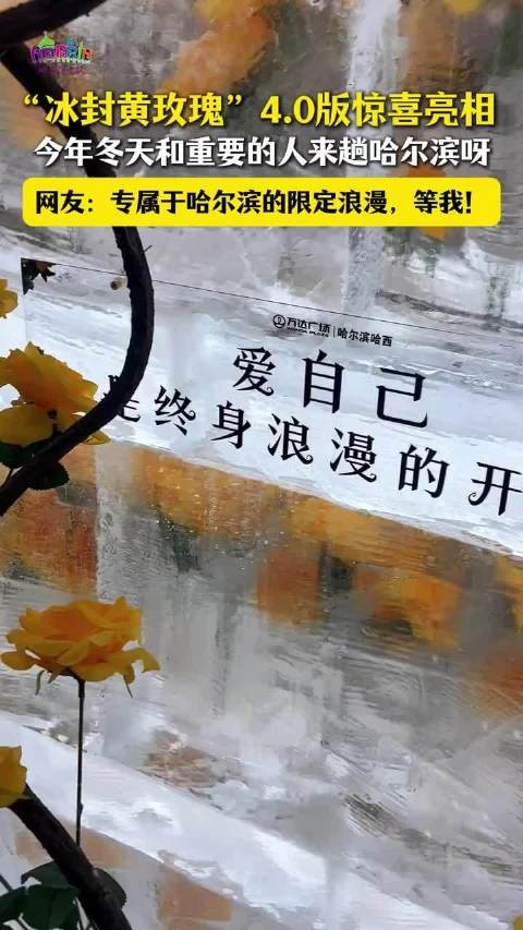 刘亦菲新剧玫瑰的故事与哈尔滨冰封玫瑰同步更新