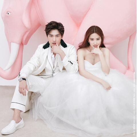 杨洋刘亦菲婚纱照美哭网友 赵丽颖林更新CP感爆棚【图】