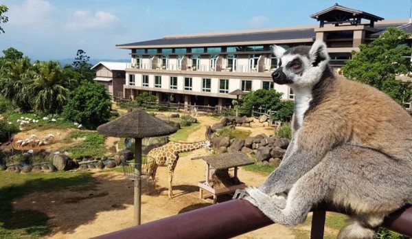 關西六福莊生態導覽