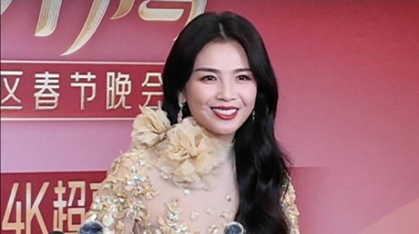 2026粤港澳大湾区春晚明星动态与春碗文创引关注