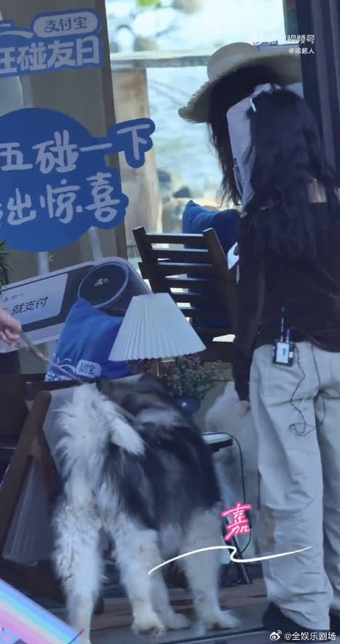 何炅惊喜加盟客栈，大家庭更热闹，暖心氛围拉满