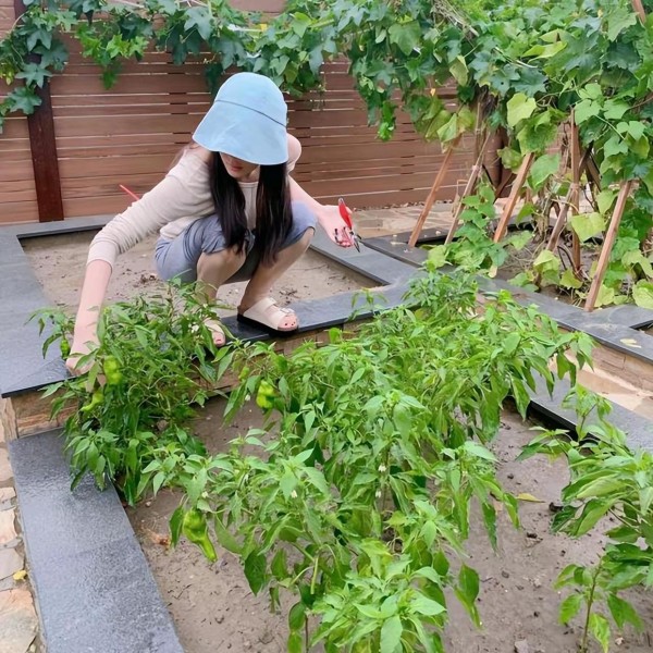 张馨予晒出家居生活，凭一菜园子圈粉百万，网友：一看就不是摆拍