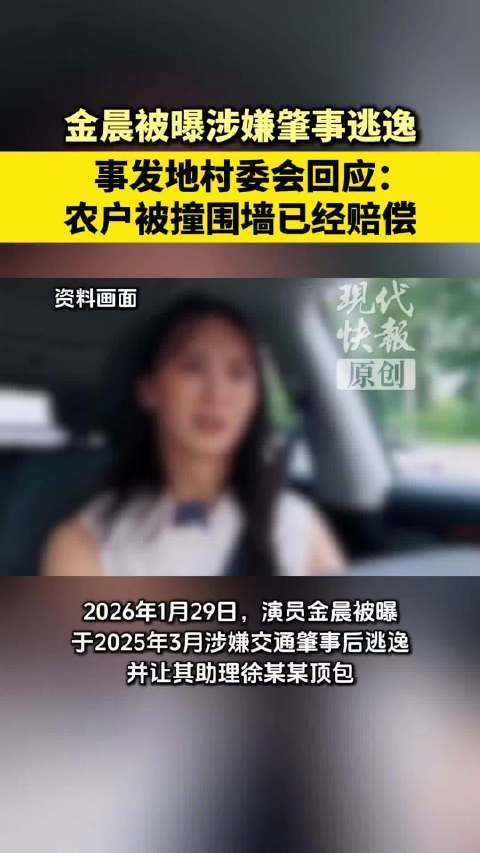 助理为何自愿顶包？一个简单事故背后的心理博弈