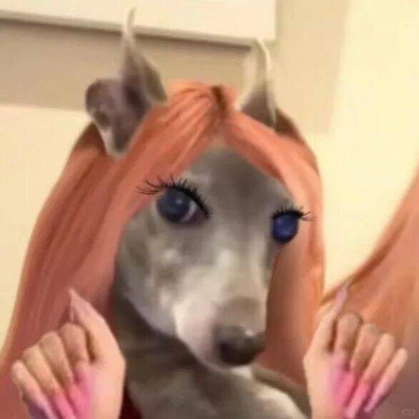 《速度与激情11》定档；剧版《哈利·波特》即将开播