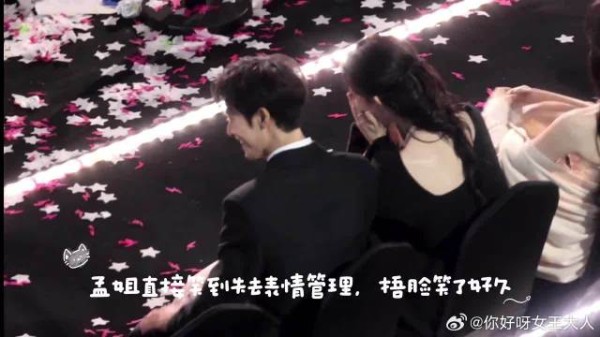 豹豹猫猫你们到底在笑啥呀