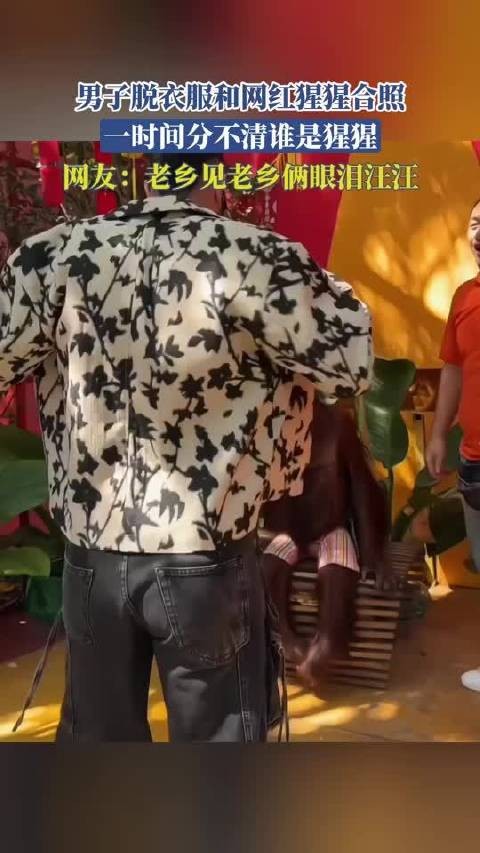 男子脱衣服和网红猩猩合照，一时间分不清谁是猩猩