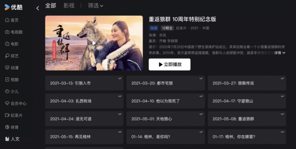 《重返狼群》火了,揭秘优酷独家上线12集完整版纪录片的背后