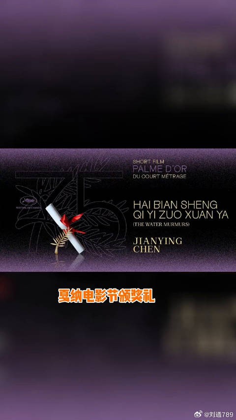 海边升起一座悬崖 获得戛纳短片陈剑莹