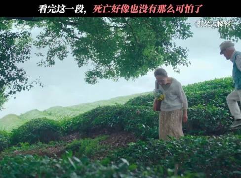 有朵云像你：学会接受死亡，是每个人一生的必修课