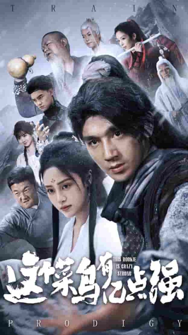 这个菜鸟有亿点强