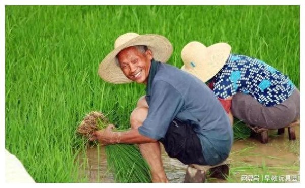 国家大力发展扶持农业，农业结构调整对农民就业有何影响？