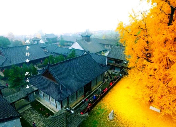 抑郁症阴影下的明星重生之路：从困境到光明