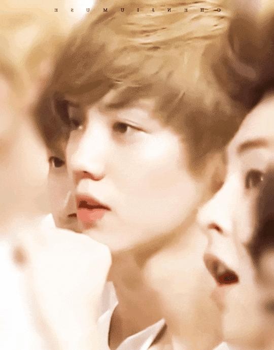 从顶流到低谷：鹿晗的职业生涯沉浮