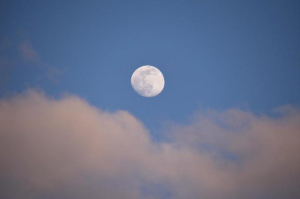 月明星稀亦足賞600字