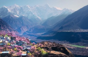 狮子座与天秤座男生女生配对分析