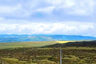 摩羯座与双鱼座男生女生配对分析
