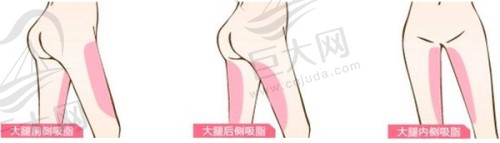 广州荔医2026年价格表