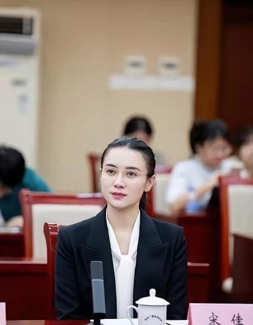 张译向内坚守宋佳向外突围两会明星委员的两种生存哲学