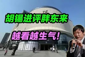 胡锡进谈胖东来！谈的内容，令人生气视频封面