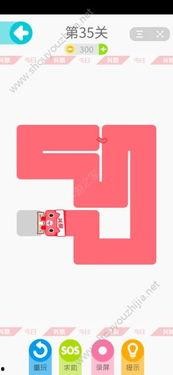 娱乐吃瓜文字解说大全,揭秘明星幕后故事与热点事件