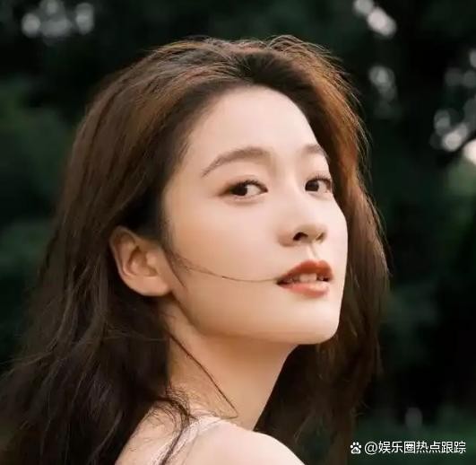 央视四小花旦更迭记：实力与流量的博弈