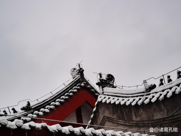 2026年2月财运开门红！五大星座财星高照，新春理财规划正当时