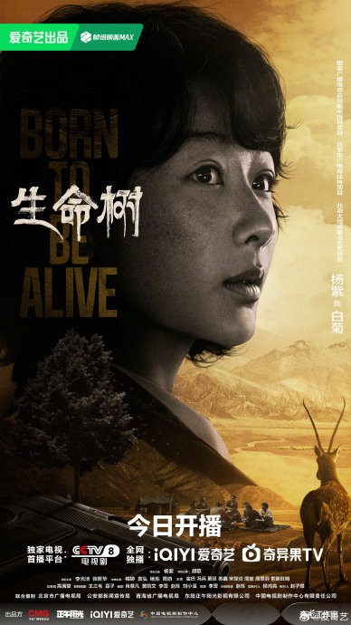 除了刘敏涛，还有哪些演员出演了2026年的热播剧《生命树》？