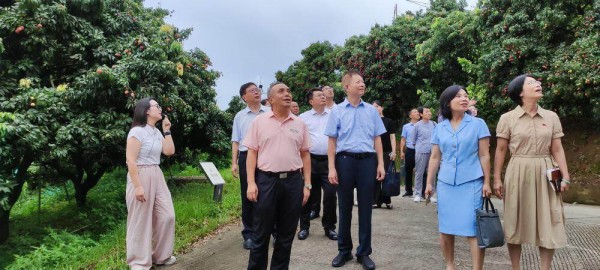 “穗字号”农产品“深闺待识”，品牌科技……