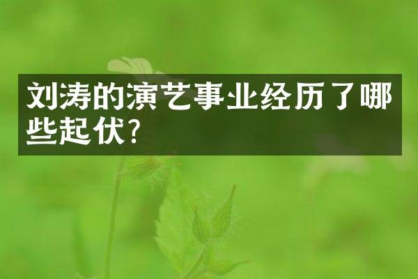 刘涛的演艺事业经历了哪些起伏？