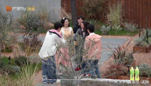 袁咏仪询问井柏然择偶标准，称精神上的门当户对很重要