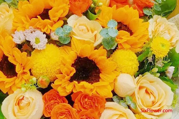 颁奖典礼送什么花好？向日葵是不错的选择！