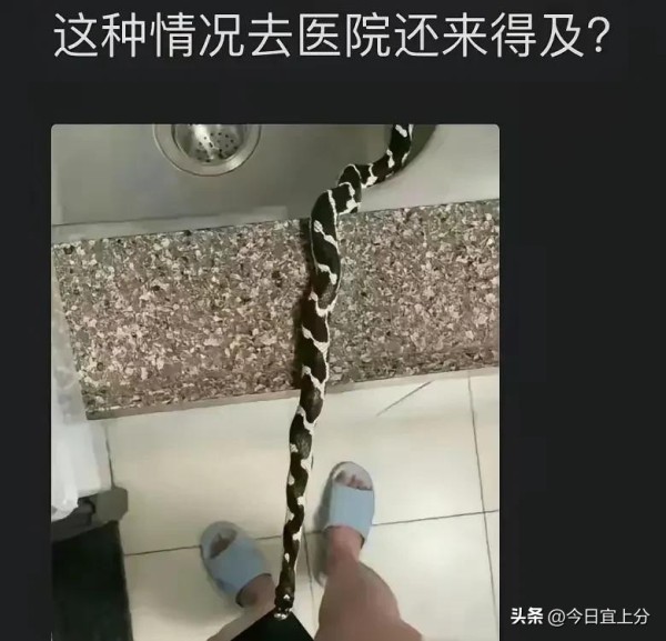 今日宜上分：#娱乐圈的光影交织：明星背后的真实故事

在璀璨的娱乐圈，明星宛如夜空中的星星，各自闪烁着独特的光芒。光鲜亮丽的背后，隐藏着多少不为人知的故事？

##星光的背后

每位明星的成功都不是偶然，背后是无数个不眠之夜和辛勤的付出。就像一颗璀璨的钻石，只有经过磨砺，才会熠熠生辉。许多观众只看到他们在舞台上的光辉，却不知道他们经历过多少挑战与考验。

##笑声与泪水

在某次拍摄现场，一位新晋...