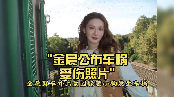 金晨事件反转：被冤枉肇事顶包，真相是为救动物紧急避险，网友力挺