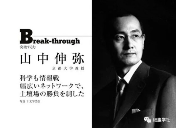 [干细胞名人堂]从骨科医生到诺奖得主——山中伸弥成长路