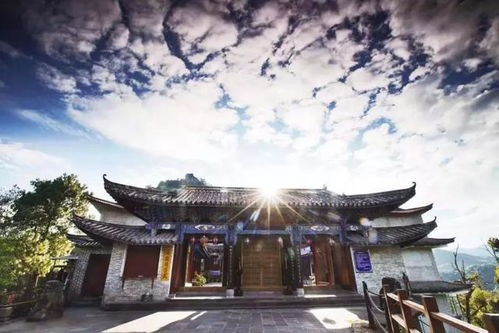 江川川什么星座